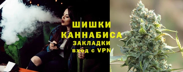индика Остров