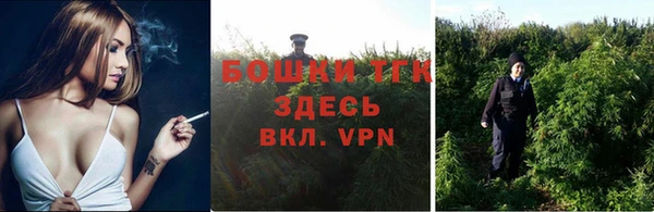 крисы Пестово