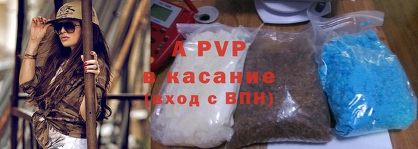 крисы Вязьма