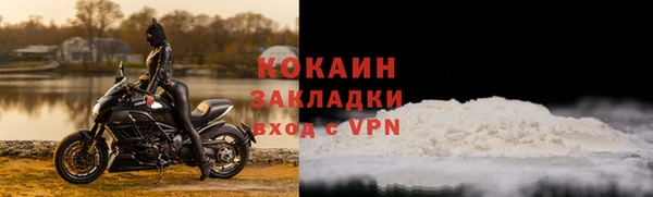 крисы Осинники