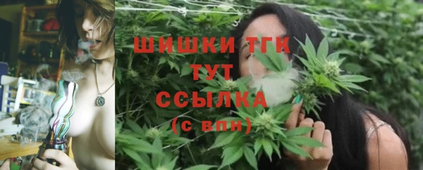крисы Пестово