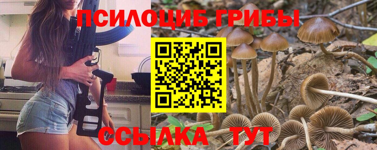 Галлюциногенные грибы Cubensis Когалым