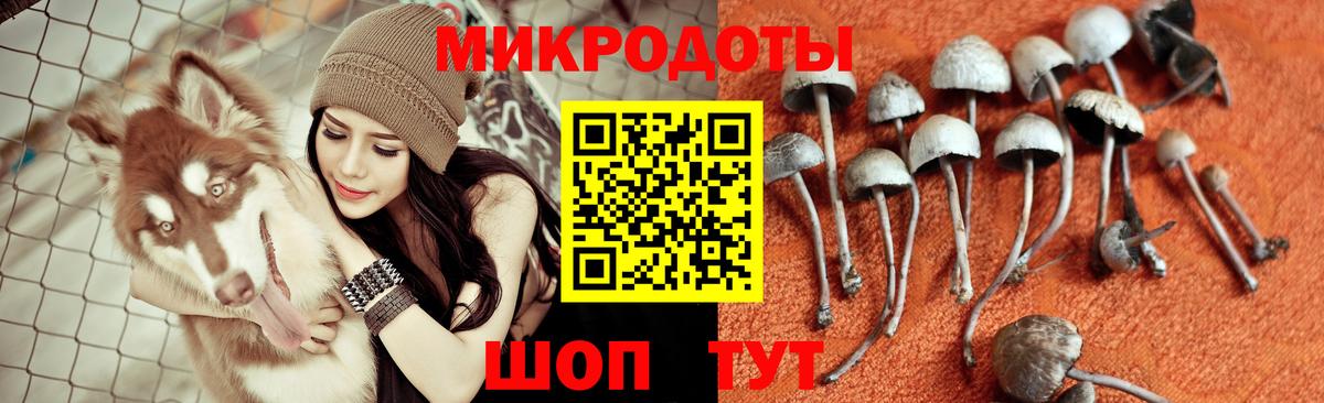 купить   Галлюциногенные грибы MAGIC MUSHROOMS  Вход с VPN  Когалым 
