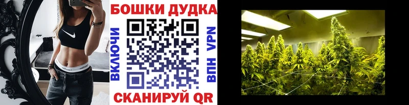 Бошки марихуана гибрид купить цена OMG как зайти Когалым