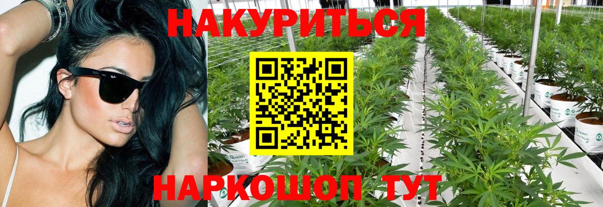 Бошки марихуана OG Kush Когалым